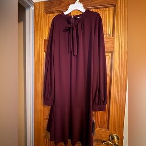 Elegant Burgundy Dress